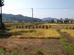 PA100614.jpg