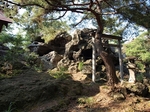 PA100637.jpg