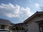 PA160730.jpg