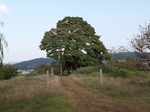 PA160754.jpg