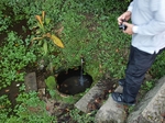PA160814.jpg