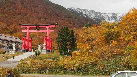 PA250254.jpg