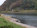 PA300838.jpg