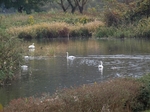 PA300846.jpg
