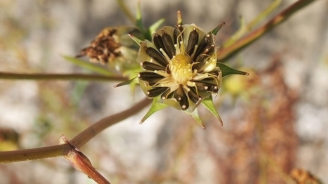 PB060289.jpg