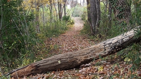 PB160382.jpg