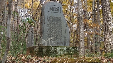 PB160388.jpg