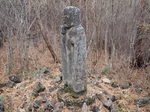 PB270921.jpg
