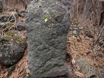 PB270932.jpg