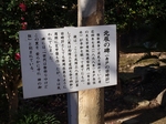 PC040946.jpg