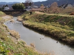 PC040966.jpg