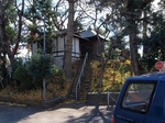 PC041022.jpg