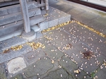 PC041027.jpg