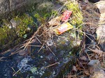 PC052234.jpg