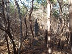 PC052235.jpg