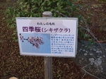 PC181164.jpg