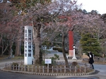 PC181169.jpg