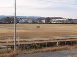 PC232229.jpg