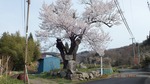 S0040258.jpg