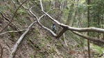 S0280534.jpg