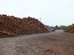 S0510679.jpg