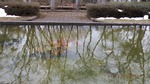 kouennoike (1).jpg