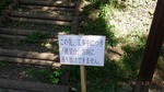 koujityu (3).jpg