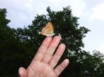 zDSCF0047.jpg